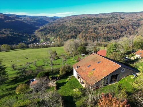 Milou à Saint Germain De Joux