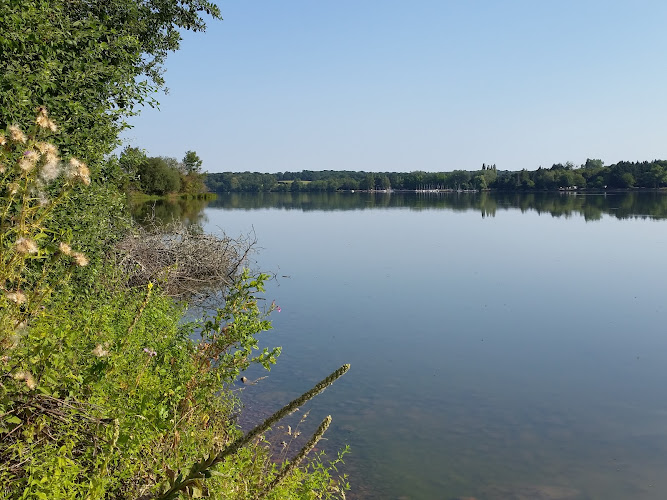 Camping Départemental de Baye à Bazolles