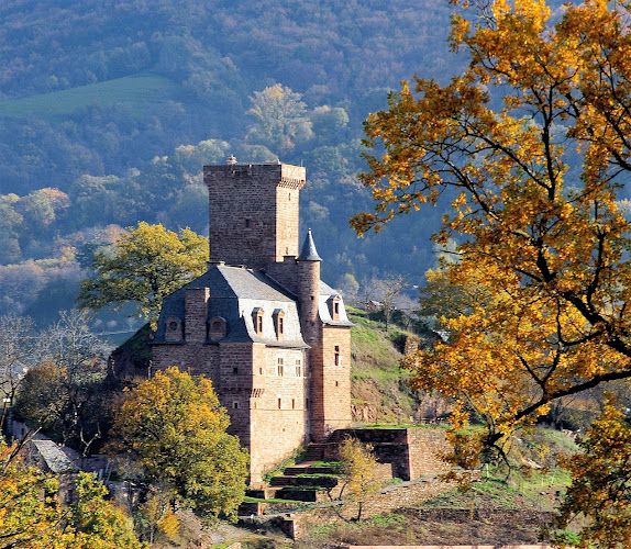 Chambres D Hôtes Chateau La Servayrie à CONQUES