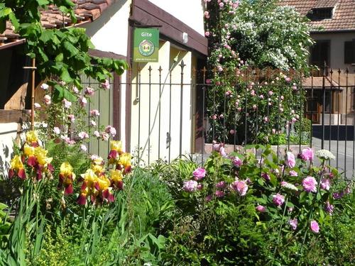 Gîte des Trois Saules