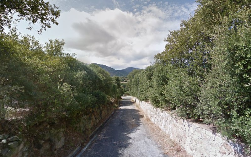 Dottori teppe à Aregno