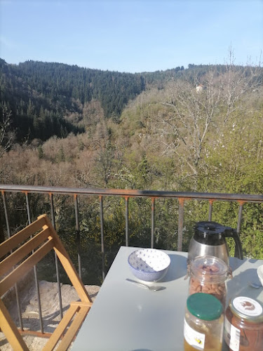 Gîte pleine nature La Bambine à Saint-Pal-de-Mons