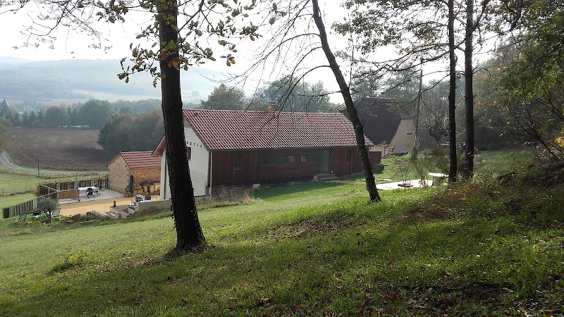 Le Bel Orme à Saint-Léon-sur-Vézère