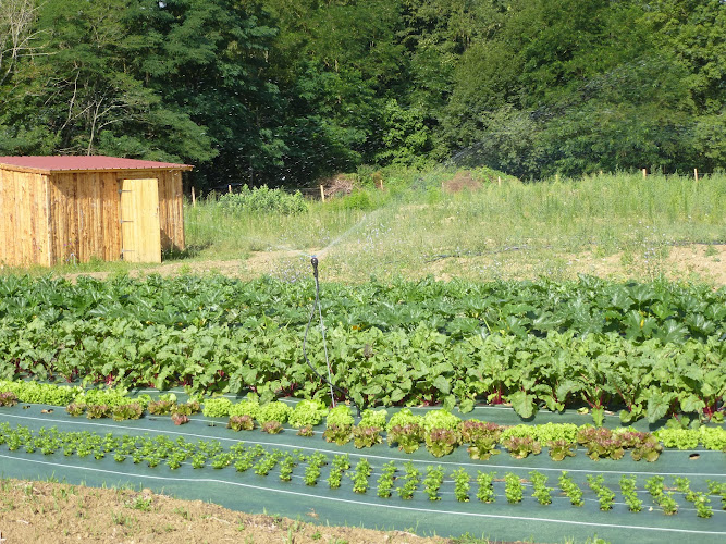 Le P tit Jardin à Saint-Paul-de-Jarrat