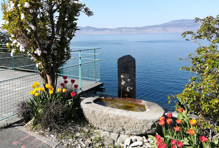 hôtel Le Léman à Saint-Gingolph