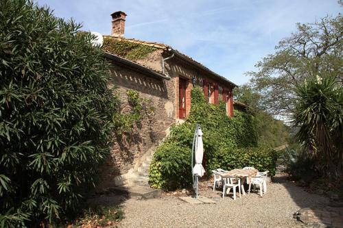 Fitou au Domaine de Barthe à Douzens