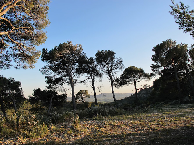 Rentinluberon.com à Mérindol