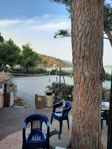 Les Pins Penchés à Le Lavandou