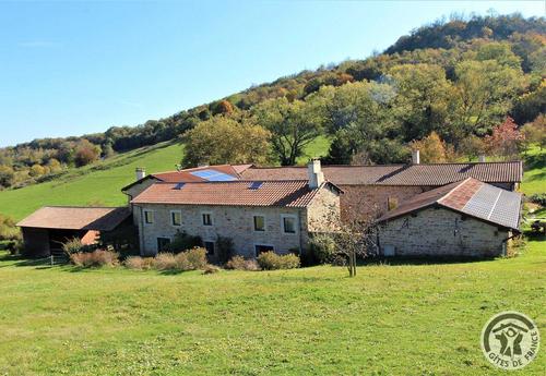 Domaine de la Glande -Amonites à LIMONEST