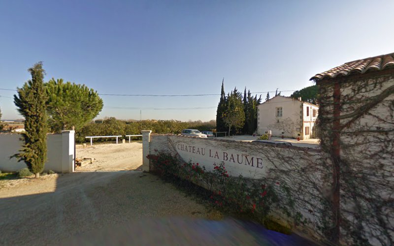 Mas de La Baume à Saint-Gilles