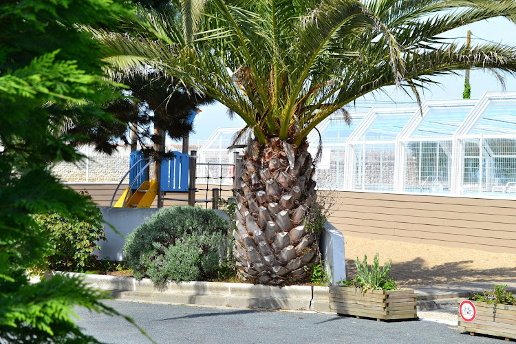 Camping La Tour des Prises **** à La Couarde-sur-Mer