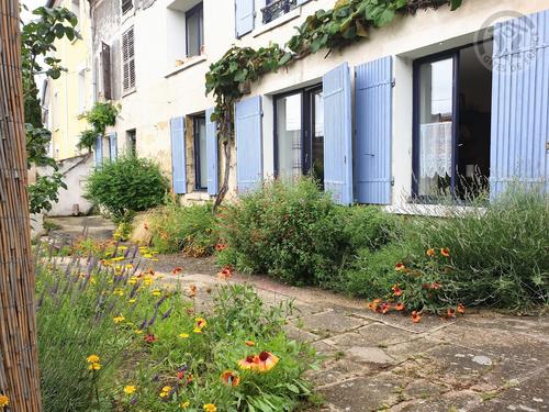 Les deux vignes à Auvers Sur Oise