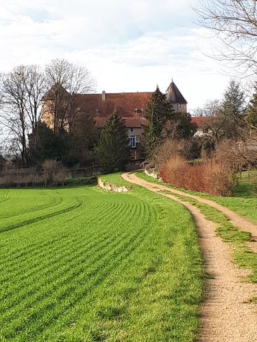 Grand gîte du Château à Manonville