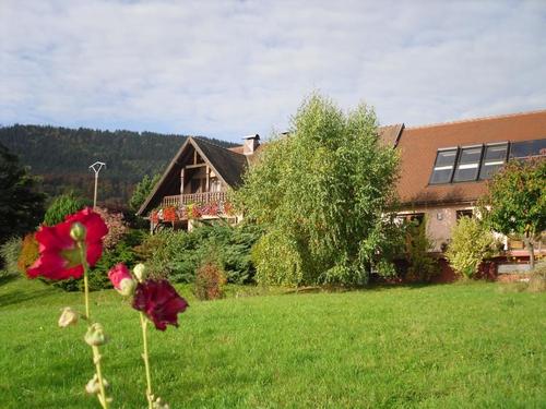 Les gîtes du Taennchel 2p à Thannenkirch