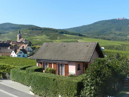 Gîte Pinot Noir à Rodern