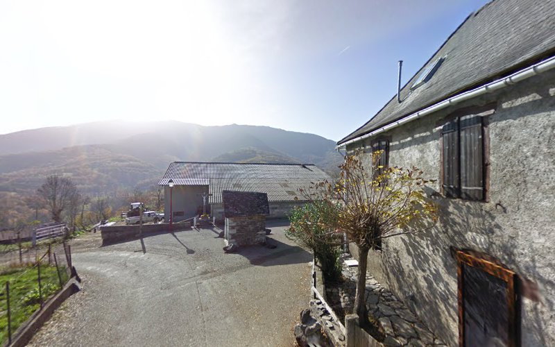 La Maison St Brigitte à Buzan
