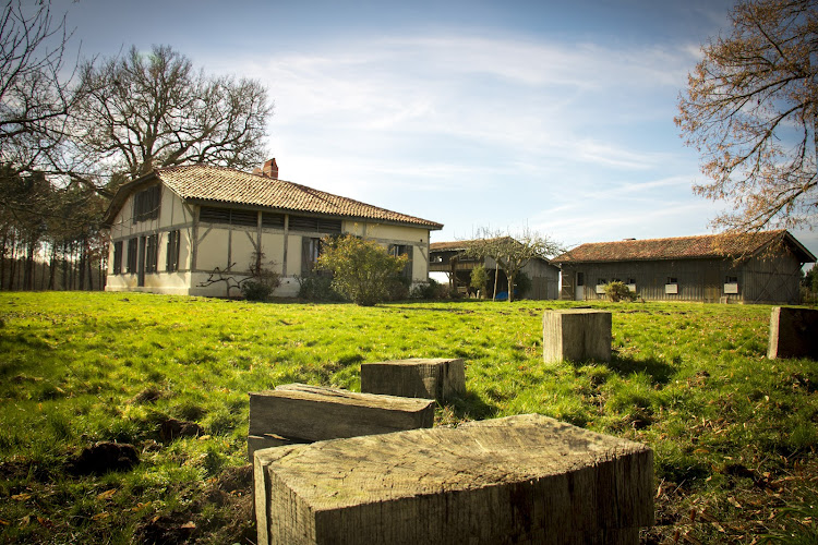 La Canopée des Landes à Morcenx-la-Nouvelle