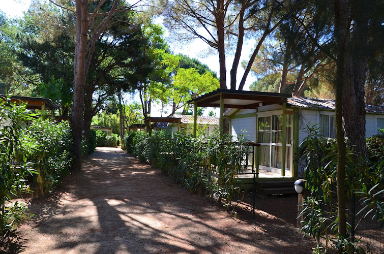 Camping La Pinède Enchantée à Argelès-sur-Mer