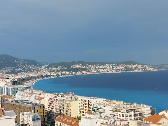 Park & Sea view Apartment Nice Nice à Nice