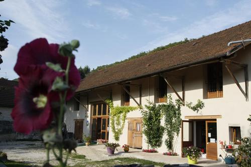 Au millieu des fruits à LHUIS