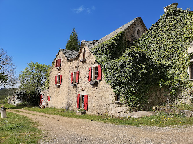 Camping Les Cerisiers à Compeyre