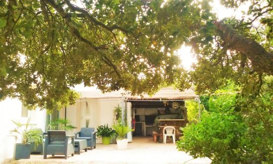Bed And Breakfasts Around The Hammock à Moltifao