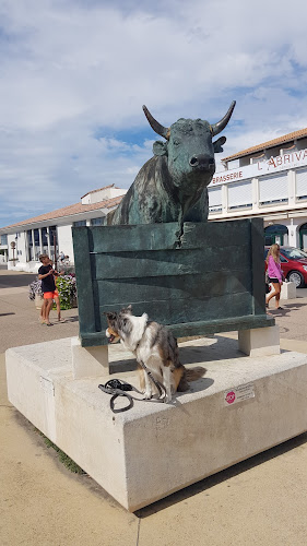 Ho la brise à Saintes-Maries-de-la-Mer