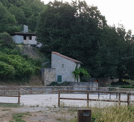 Les Castels de Sorgue à Fondamente