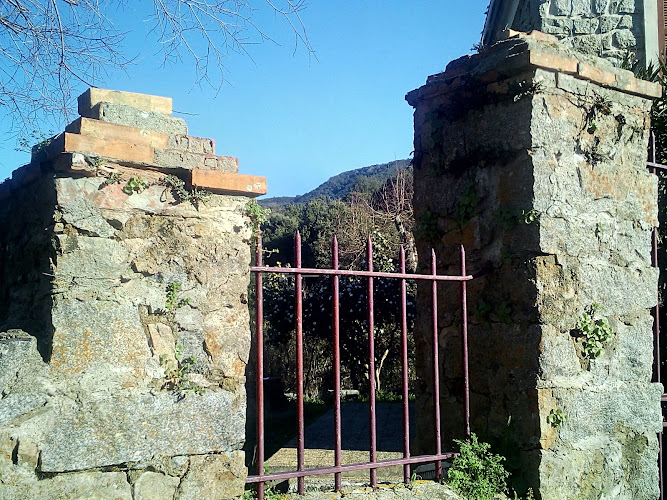 Cannelle à Cannelle