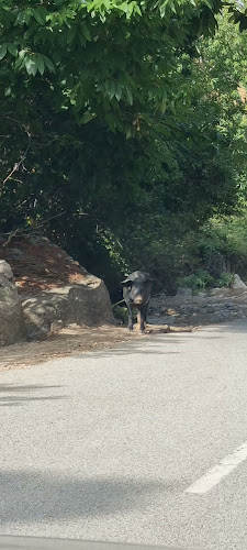 Zévaco à Zévaco
