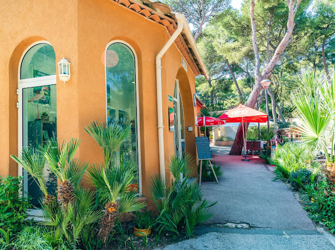 Camping Olbia à Hyères