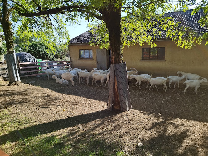Stellplatz à Bouvesse-Quirieu