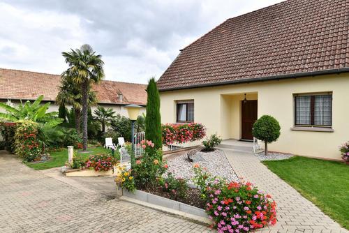 Les Palmiers à Wettolsheim