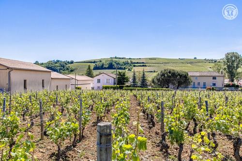 La Vigneraie à FUISSE