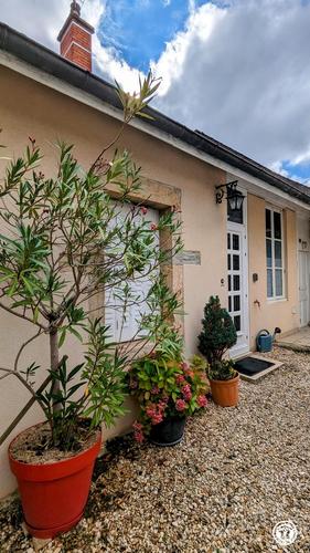 Fleur de Vigne à Marsannay-la-Côte