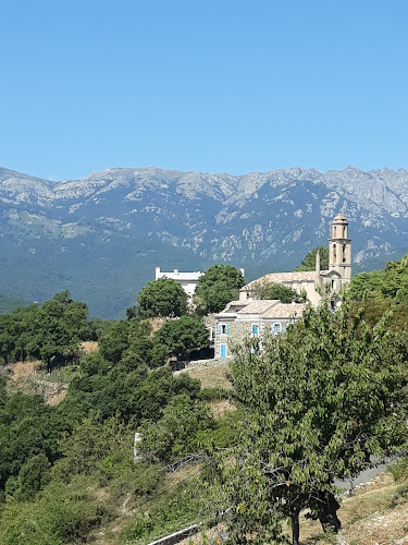 Prunelli-di-Fiumorbo à Prunelli-di-Fiumorbo