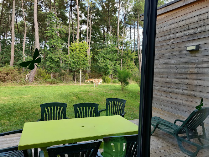 Cottage 284 à Morton