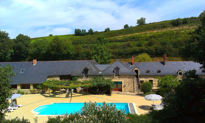 Chteau de Chanz à Bellevigne-en-Layon