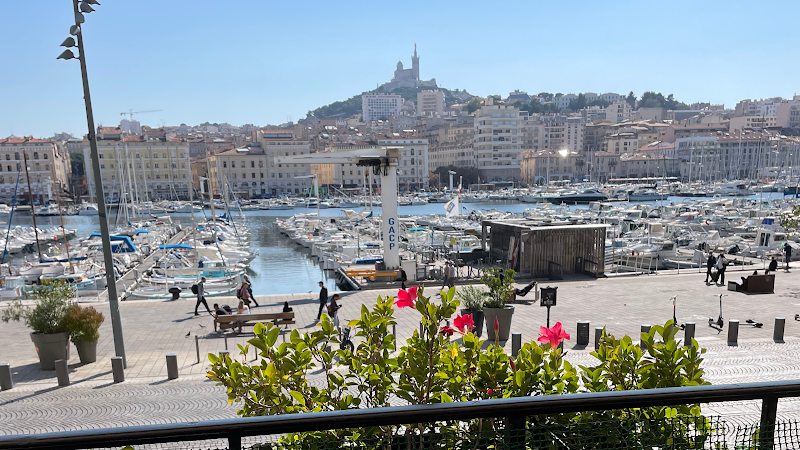 Hôtel Écologique BelleVue Marseille à Marseille