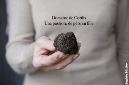 Domaine de Cordis à Grignan