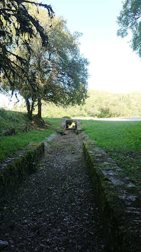 Le pré aux biches à Saint-Médard