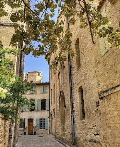 In Situ à Uzès