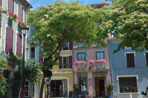 Maison Monsieur Pierre à Leucate