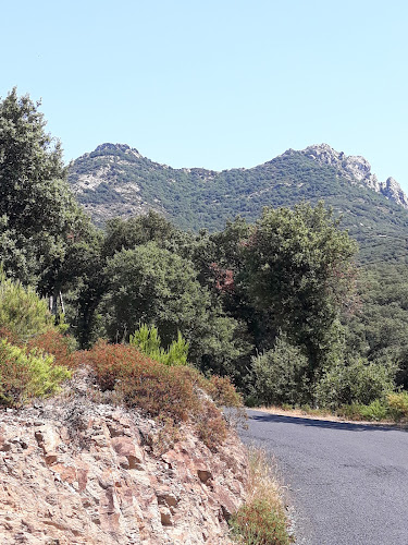 L Albère à L'Albère