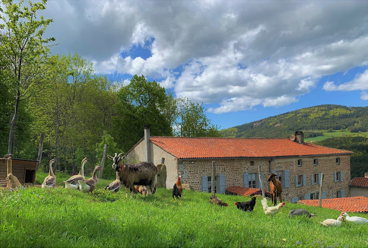 Gîte Au temps Passé à Sauvain