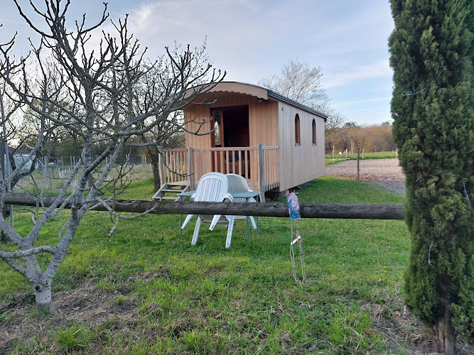 Camping du bois madame à Gennes-Val-de-Loire