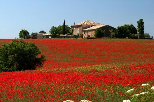 Le Couchant à Valensole