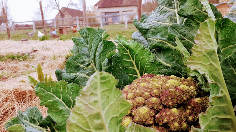 La p Thite Marmande à Cérilly