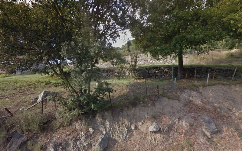 Alerta, 20235 Canavaggia à Canavaggia