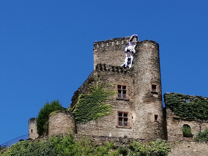Chambres d hôtes La Tour de Baulès à Marcillac-Vallon